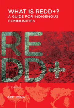 What is REDD+? A Guide for Indigenous Communities (2012)