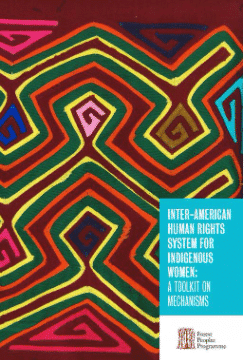 Toolkit on the Inter-American human rights system for indigenous women (2015)